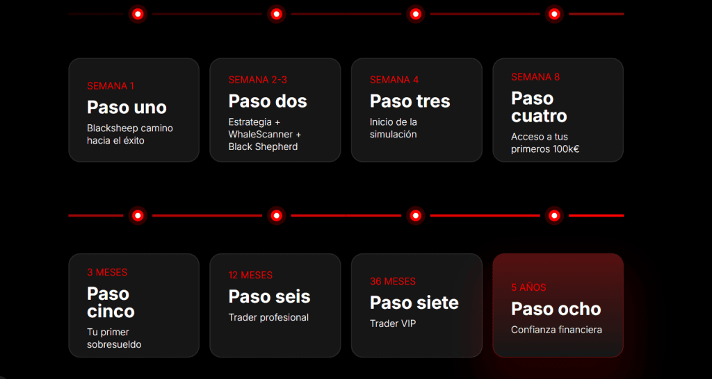 paso a paso